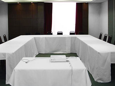 Alta Reggia Plaza Hotel Curitiba